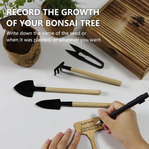 bonsai tree tools Beginner Bonsai Tree Starter Kit For Indoor Gardening ✓
