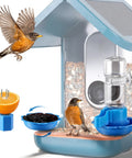 Three In One Bird Nutrition Set With Water Fountain, Fruit Spike And Jelly Tray Feeder For Outdoor Backyards, Easy Snap On Attach To Feeders