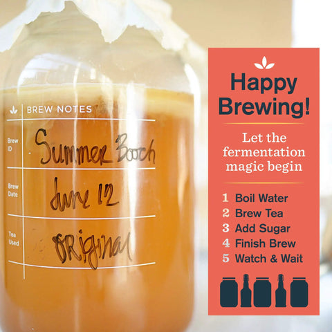 Organic 1 Gallon Kombucha Starter Kit With SCOBY Fermentation Jar and brewing notes for beginners.