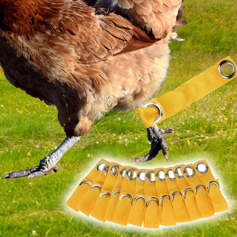 Yellow Tie Cord Leash For Game Fowl And Poultry, adjustable nylon strap on chicken leg, featuring secure restraint design, 12 pack