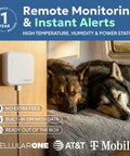 RV Pet Temperature Monitor With Cellular Coverage No WiFi Needed Remote Power Outage And Temp Sensor With App Alerts For Home Safety And Server Room Monitoring Includes 1 Year Subscription on wall beside resting dogs