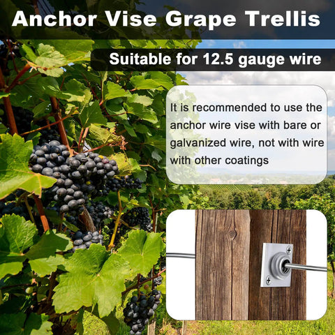 Grape trellis with Five Piece Anchor Wire Vise Set for Tightening 12 to 13 Gauge Wire, showing aluminum construction and easy grip
