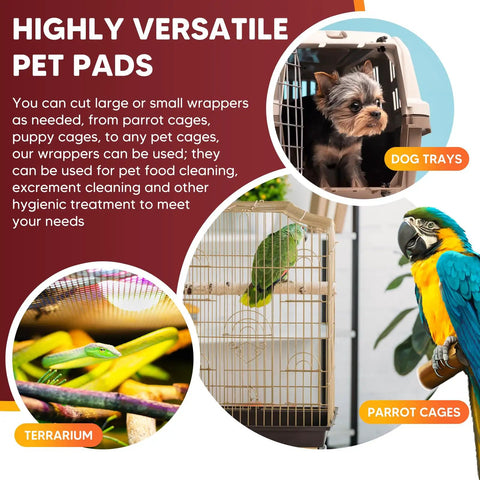 Pet pads infographic with dog in crate, parrot in cage, and terrarium, highlighting versatility for cleaning and hygiene.