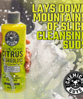 Hand holding Citrus Wash soap from Ultimate Car Wash Bucket Kit With Dirt Trap Insert, Microfiber Mitt, Soap, And Lid.