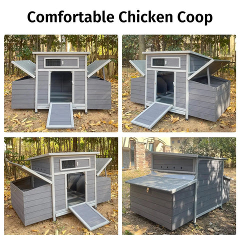 Sturdy Large Wooden Chicken Coop With Weatherproof Exterior And Six Nesting Boxes, Dark Grey Finish, Outdoor Poultry Cage