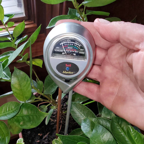 Person holding Moisture, Light And pH Soil Test Meter for Garden, Lawn And Indoor Pots, measuring soil in potted plant
