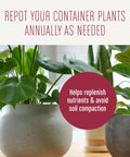 Top Shelf 4 Quart Indoor Plant Potting Mix Loaded With Fast Feeding Fertilizer Keeps Your Container Houseplants Poppin Without Any Drama While Fueling Bold New Leaves Through Spring And Summer in decorative plant pots.