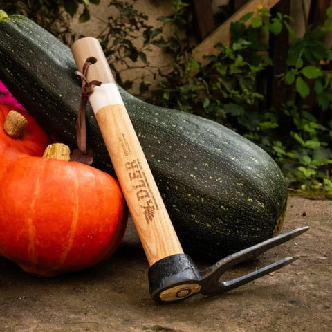 Heritage Garden Fork For Weeding And Digging with 11.8 inch handle leaning on pumpkins, showcasing heavy duty wood and dual-forged prongs.