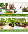 All In One Bonsai Tools Set For Beginners And Hobbyists, 9 Piece Mini Garden Kit with shears, rake, scissors, tweezers