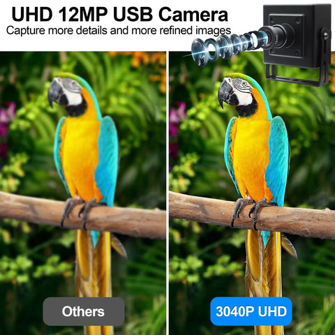 Comparison of parrot image quality using UHD 12MP USB Camera 1080P 120fps High Speed USB Camera With 12MP Sensor.