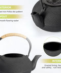 Japanese Tetsubin Cast Iron Teapot With Stainless Steel Infuser Stovetop Safe Enamel Interior 22 Ounce 650 Milliliter Kettle