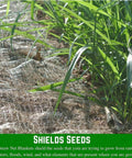 Close-up of Straw Erosion Control Blanket for Lawns and Slopes, visible netting and grass growth, effective in moisture retention.