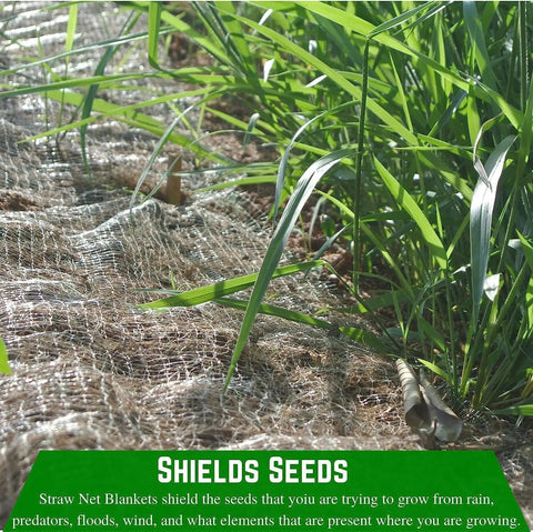 Close-up of Straw Erosion Control Blanket for Lawns and Slopes, visible netting and grass growth, effective in moisture retention.