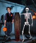 Epic Life Size Halloween Skeleton With Movable Joints next to coffin, lantern, and crow in spooky outdoor setting