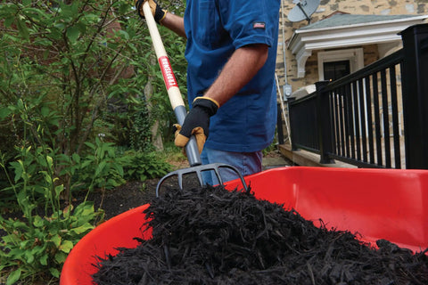 Man using Beefy Wood Handle Manure Fork With Five Forged Tines Cushioned End Grip 48 Inch Hardwood Handle to scoop mulch into wheelbarrow