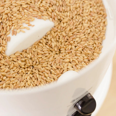 High Speed Grain Mill With 1200 Watt Motor Delivers Fresh Flour Fast No Fuss Milling Quiet Operation And 5 Cups Per Minute Output