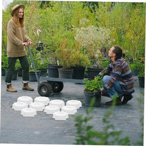 Medium Hole Tiles Concrete Mold For Stepping Stones, Reusable DIY Garden Path And Patio Paver Maker displayed on outdoor path