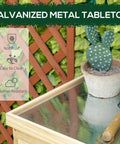 Top Shelf 32 Inch Galvanized Top Workshop Cabinet With Dual Shelves And Rust Resistant Farmhouse Doors on a garden table with succulent.