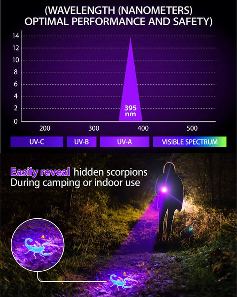 Graph showing 395nm UV wavelength and person using 2-In-1 Black Light Flashlight With 395nm UV And White Light for scorpion detection