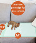 Ultra Dry Quick Change Underpads 30 By 36 Inches 100 Count Super Absorbent Bed Pads on couch with sleeping puppy