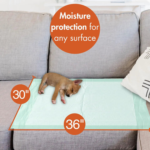 Ultra Dry Quick Change Underpads 30 By 36 Inches 100 Count Super Absorbent Bed Pads on couch with sleeping puppy