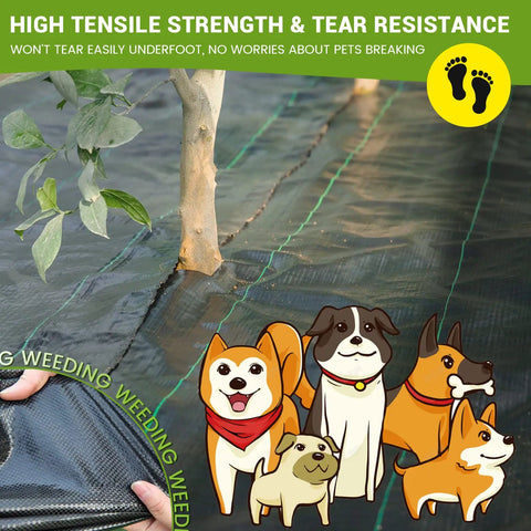 Heavy Duty 4 Ft By 300 Ft Weed Barrier Landscape Fabric Three Point Two Ounce Ground Cover Mat With High Permeability And Breathability Woven Garden Cloth showing high tensile strength and tear resistance under a plant with cartoon dogs