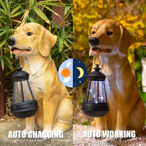 Golden Retriever Solar Dog Statue, outdoor decor with lantern lights, auto charging and working, weatherproof garden ornament