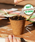 Hand planting seeds in a biodegradable pot with Organic Lettuce Seed Packet Gourmet Blend Heirloom Non GMO Pollinator Friendly label