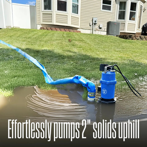 Heavy Duty Half HP Sewage Pump Be The Workhorse For Basements in operation on flooded lawn, 2-inch hose, blue housing