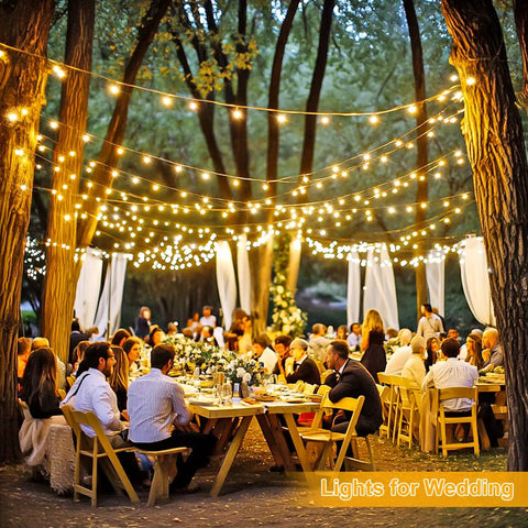 1000 LED Warm White Christmas String Lights With Remote, Epic 272 Feet Total Length, 8 Modes, used for outdoor wedding decor