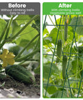 Foldable Cucumber Trellis 2 Pack A Frame Garden Support For Climbing Plants 46 Inch Long By 18 Inch Wide Steel Frame Before After
