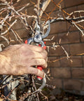 DualCUT Forged Steel Bypass Hand Pruner With 1 Inch Cutting Capacity For Thick Branches And Stems Garden Pruning Shears For Trees