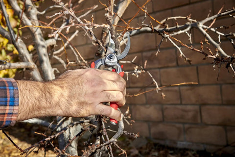 DualCUT Forged Steel Bypass Hand Pruner With 1 Inch Cutting Capacity For Thick Branches And Stems Garden Pruning Shears For Trees