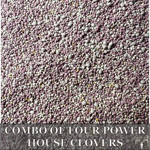 Four Clover Combo Blend Perennial Food Plot Seed 15 Lb EcoPack seeds in close-up, showing texture and variety for wildlife attraction.
