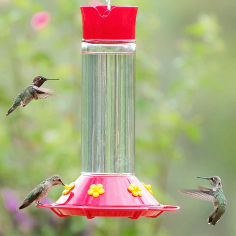 Glass Hummingbird Feeder For Outdoors Hanging, 30 Oz Nectar Capacity, Ant And Bee Guarded Red Bird Feeder, Easy Fill Wide Mouth Bottle.