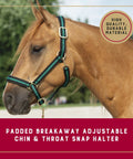 Breakaway Horse Halter With All Day Comfort Foam Padding, Adjustable Chin And Throat Snap, Green on horse