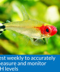 Easy Peasy Carbonate Hardness Kh Test Kit For Fresh And Saltwater Fish Tanks Plus Household Tap Water features a vibrant fish for KH level monitoring.