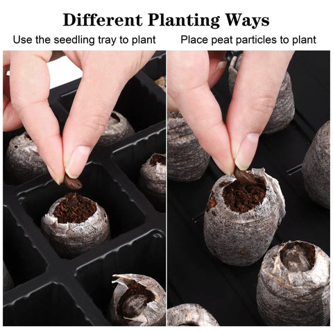 4 Pack 24 Cell Seed Starter Tray Kit With Humidity Dome And Base For Indoor Or Outdoor Plant Germination Includes Peat Pellets Plant Labels And Tools Black