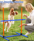 Dog jumping over hurdle from 6 Piece Dog Agility Jumps And Hurdles Set With Adjustable Heights Portable Storage Bag
