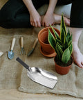 Stainless Steel Garden Hand Trowel Go To Transplanting And Soil Loosening Tool Small Square Shovel next to potted plant