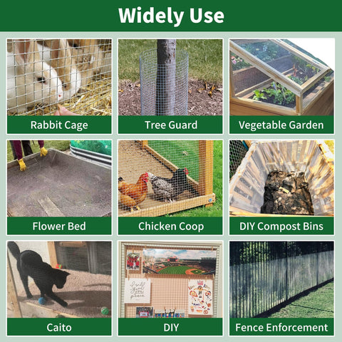 Heavy Duty Half Inch Welded Wire Mesh Roll 19 Gauge 36 Inch By 100 Foot Galvanized After Welding Fence Netting for multiple uses like garden and poultry.