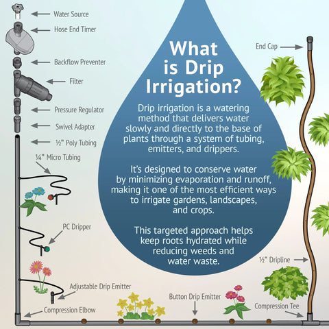 Drip irrigation infographic showing 1/2 in tubing, connectors, emitters, and garden setup.