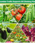 Composite image showing cucumbers, tomatoes, peas, eggplants, grapes, and flowers supported on trellises.