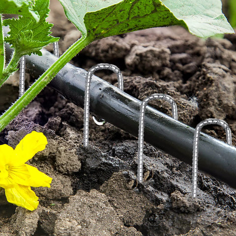 Heavy Duty 12 Inch Galvanized J Hook Ground Anchors Set Built To Last For Tents Plants Landscape Fabric And Artificial Turf Anti Rust Stakes That Stand Up To Wind And Weather securing irrigation hose