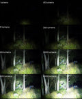 Ultra Bright SP36 Pro Flashlight beam strength from 7 to 8000 lumens on outdoor scene showing brightness levels.
