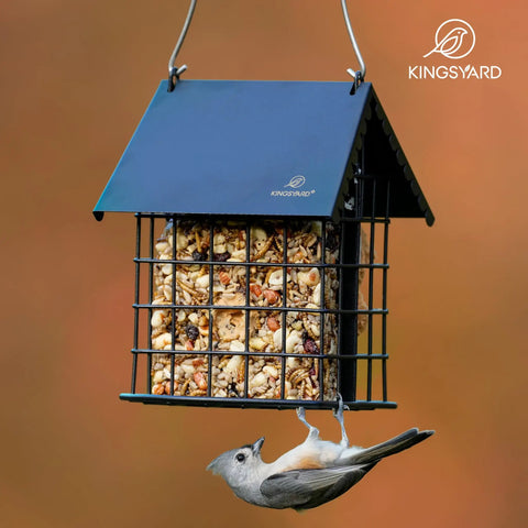 Double Suet Bird Feeder With Weatherproof Roof And Perches All Metal Cage For Outdoors Hangin Easy To Clean And Refill Rust Resistant Black For Year Round Use And Busy Bird Traffic hanging with bird feeding.