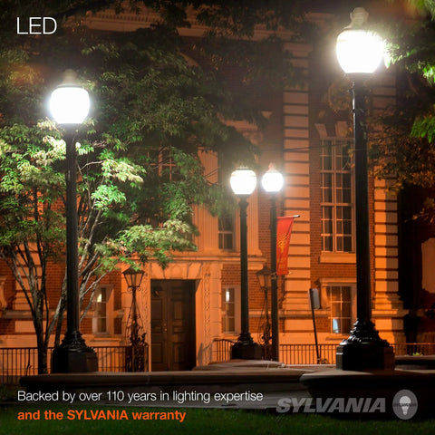 LED-lit outdoor walkway at night with tall lamps illuminating surrounding area and building