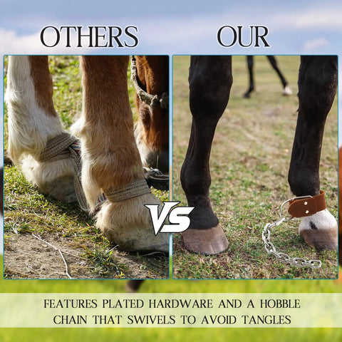 Comparison of standard rope horse hobbles and Two Pack Leather Horse Hobbles With Anti Kick Design and stainless steel chain.