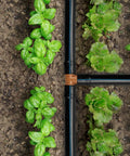 Garden with green plants using 35 Pieces 1/2 Inch Barbed Tee Fittings For Drip Irrigation Tubing, 3-Way Connector Set