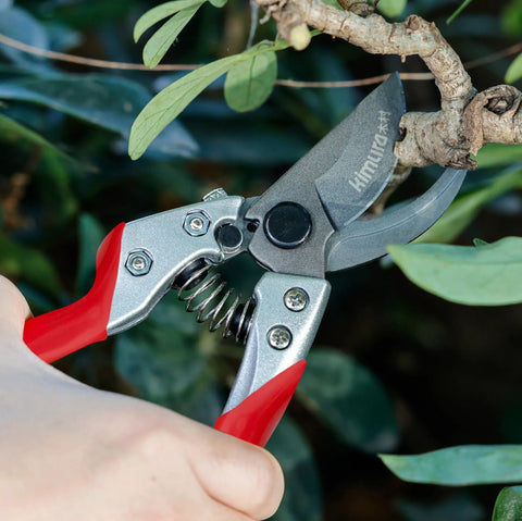 Pro Grade 8 Inch Bypass Pruning Shears With Japanese SK5 Steel Blades cutting a branch, PVC handles visible